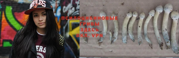гашиш Дмитров